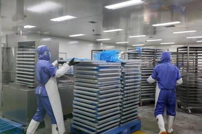 年產1500余噸！新區寵物食品產業再添生力軍