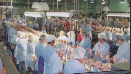 美國食品加工廠為何成為疫情重災區 生產環節的挑戰與風險