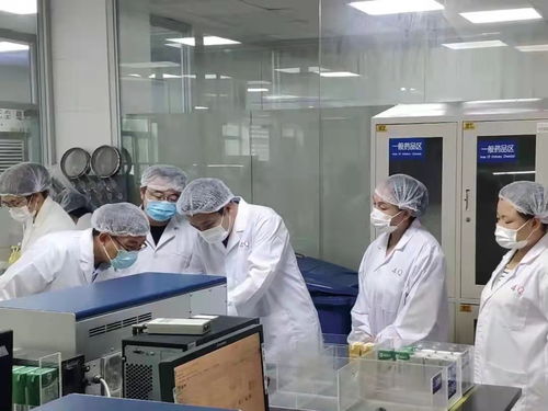 食品生產安全監管的重要性與衡水實踐