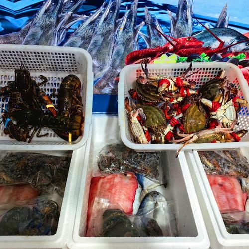 品質保障，十年信賴——逍遙水產商行實體經營與水產收購服務