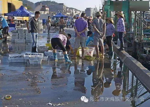 投資1.3億元，廣東陽江閘坡水產品交易物流中心將成新熱點