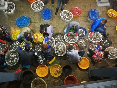 舟山梭子蟹價(jià)格飆升至250元一斤，市場行情堪比春節(jié)高峰