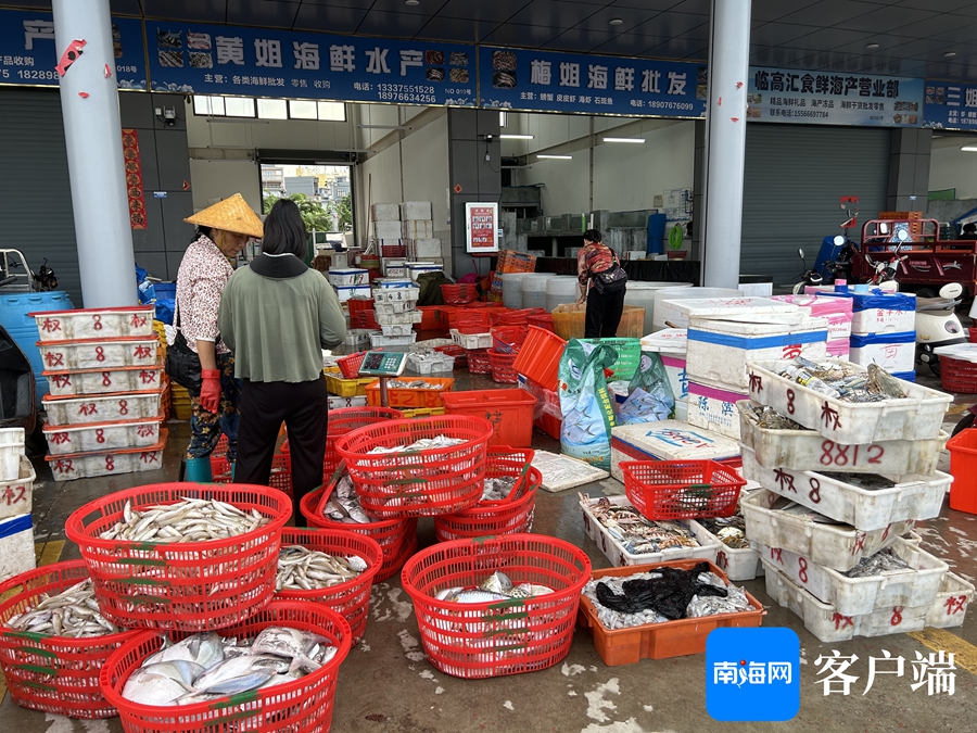 臨高漁港 滿載而歸交易忙，水產(chǎn)市場購銷旺